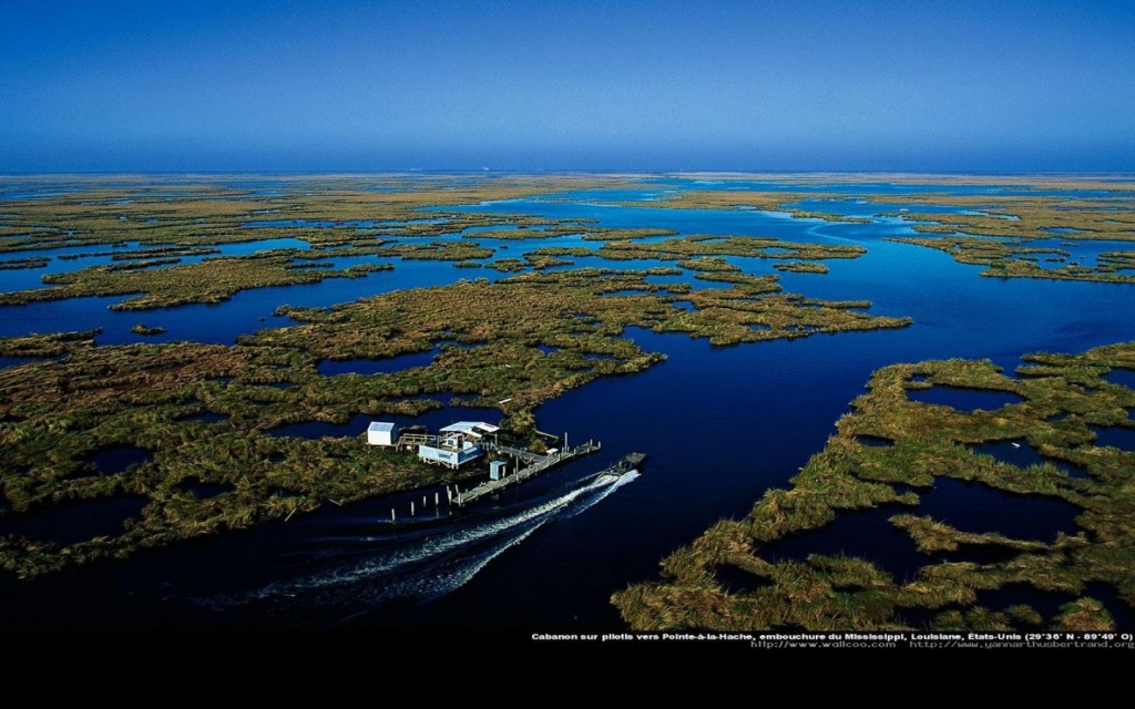 mouth-of-the-mississippi-river,1440x900,45890