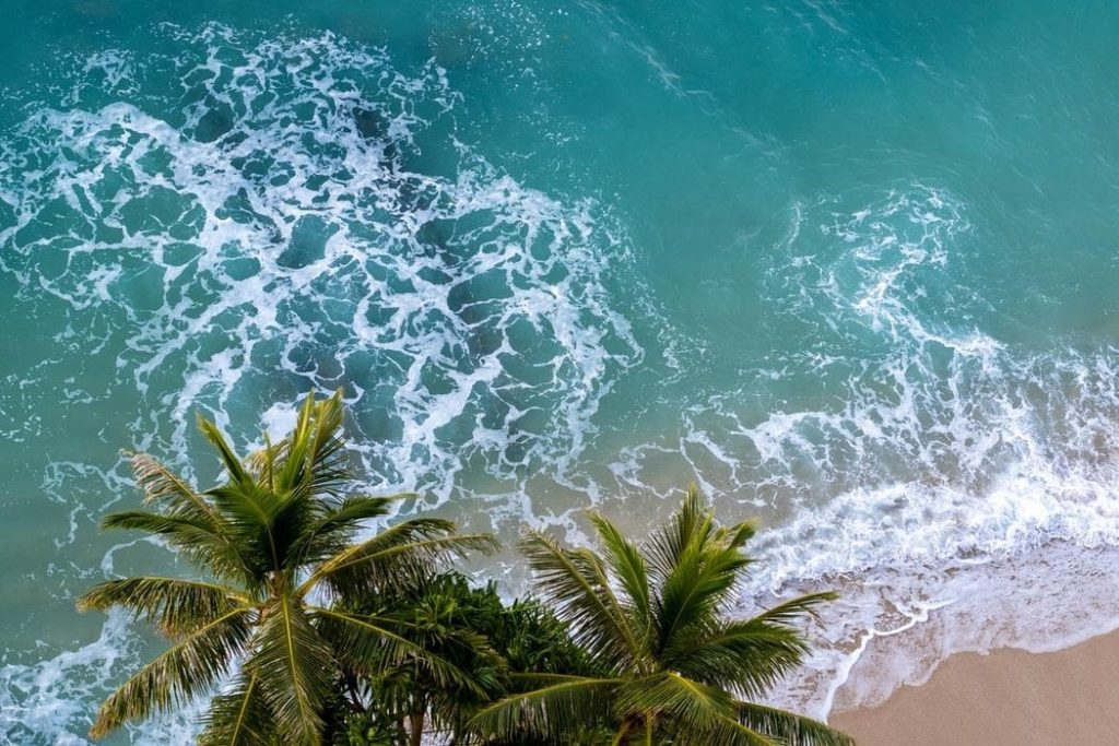Waikiki với những bãi biển đẹp như tranh vẽ.